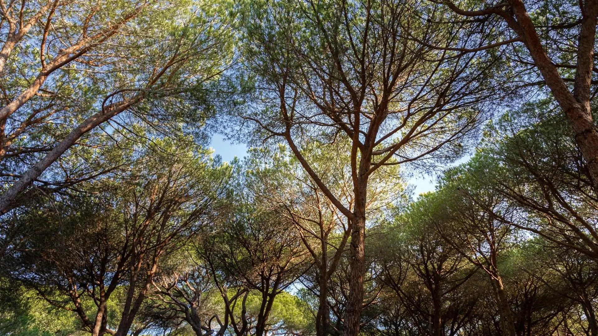 Camping Village Il Sole Marina di Grosseto Campsite