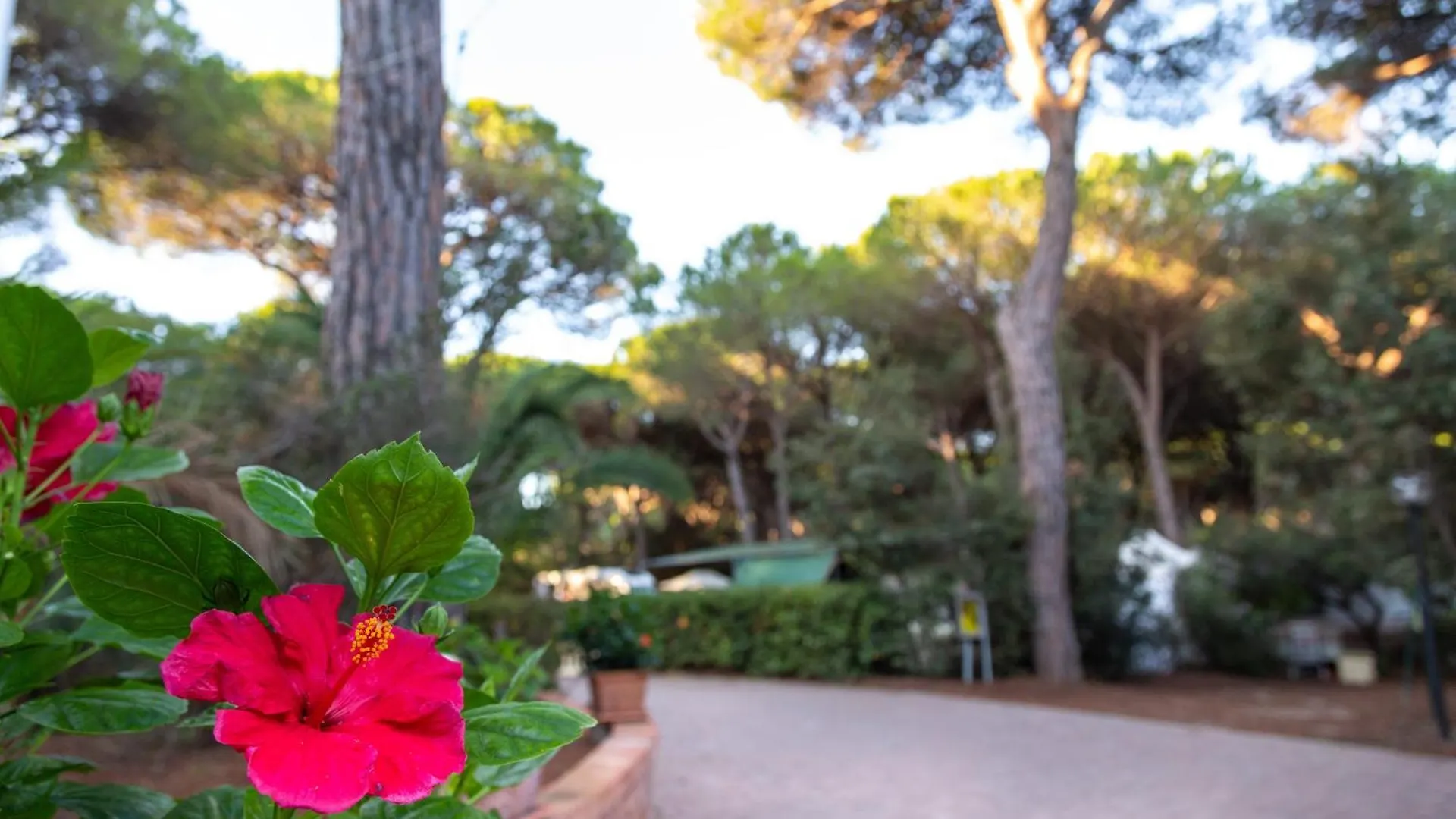 Camping Village Il Sole Marina di Grosseto