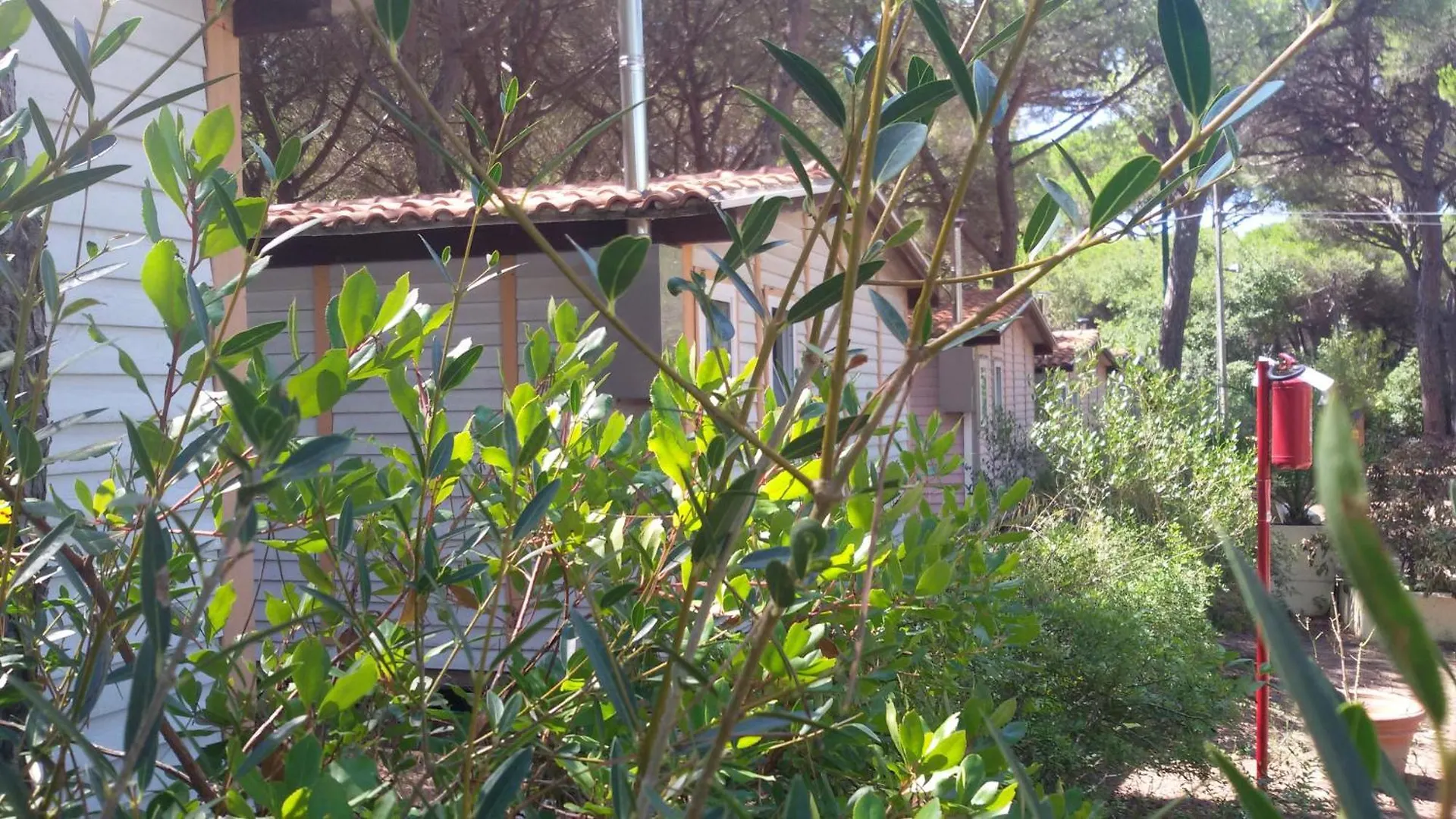 Camping Village Il Sole Marina di Grosseto