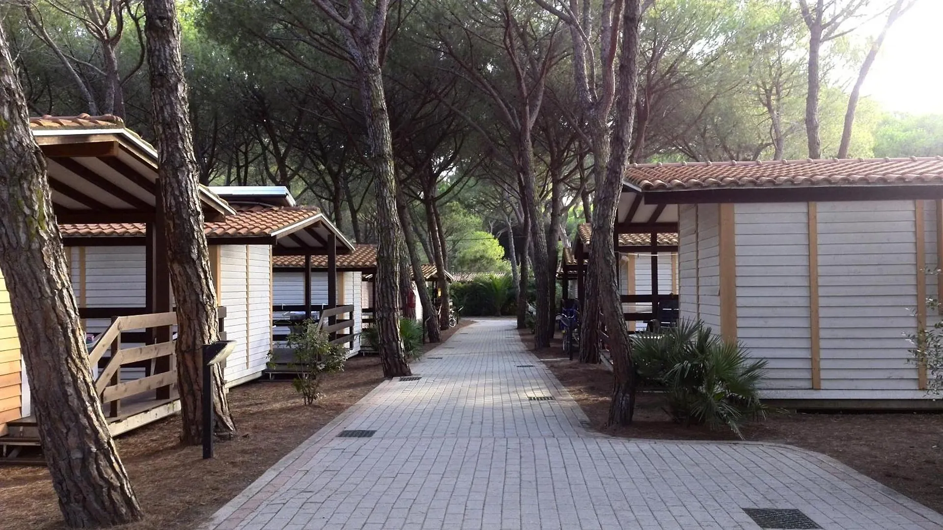 Camping Village Il Sole Marina di Grosseto Campsite